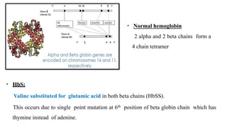 Hbs Structure Blood Disorders: HemoglobinopathiesHemoglobinapthy.pptx