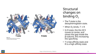 Chemistry of Hemoglobin, the miracle molecule that carries oxygen | PPTX