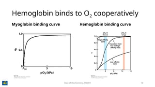 Chemistry of Hemoglobin, the miracle molecule that carries oxygen | PPTX