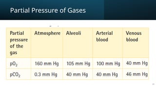 Chemistry of Hemoglobin, the miracle molecule that carries oxygen | PPTX