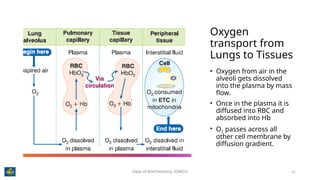 Chemistry of Hemoglobin, the miracle molecule that carries oxygen | PPTX