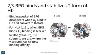 Chemistry of Hemoglobin, the miracle molecule that carries oxygen | PPTX