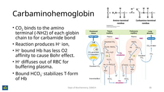 Chemistry of Hemoglobin, the miracle molecule that carries oxygen | PPTX