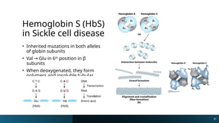 Chemistry of Hemoglobin, the miracle molecule that carries oxygen | PPTX