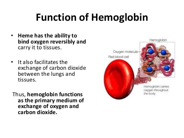 Hemoglobin estimation