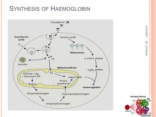 SYNTHESIS OF HAEMOGLOBIN
4/10/2021
Dr.
V.P.Shah
 