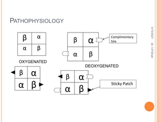 PATHOPHYSIOLOGY
β α
α β
β α
α β
β α
α β
β α
α β
Complimentary
Site
Sticky Patch
OXYGENATED
DEOXYGENATED
4/10/2021
Dr.
V.P.Shah
 