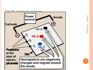 HB ELECTROPHORESIS
4/10/2021
Dr.
V.P.Shah
 
