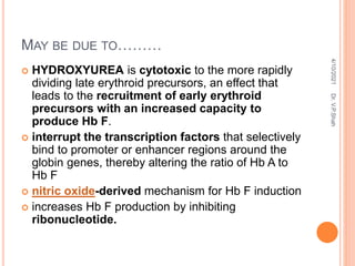 MAY BE DUE TO………
 HYDROXYUREA is cytotoxic to the more rapidly
dividing late erythroid precursors, an effect that
leads to the recruitment of early erythroid
precursors with an increased capacity to
produce Hb F.
 interrupt the transcription factors that selectively
bind to promoter or enhancer regions around the
globin genes, thereby altering the ratio of Hb A to
Hb F
 nitric oxide-derived mechanism for Hb F induction
 increases Hb F production by inhibiting
ribonucleotide.
4/10/2021
Dr.
V.P.Shah
 