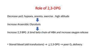 haemoglobin synthesis catabolism, functions, | PPTX