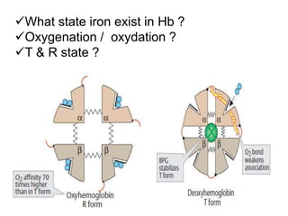 Hemoglobin for first year students | PPTX