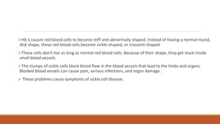 Hb S causes red blood cells to become stiff and abnormally shaped. Instead of having a normal round,
disk shape, these red blood cells become sickle-shaped, or crescent-shaped.
These cells don't live as long as normal red blood cells. Because of their shape, they get stuck inside
small blood vessels.
The clumps of sickle cells block blood flow in the blood vessels that lead to the limbs and organs.
Blocked blood vessels can cause pain, serious infections, and organ damage.
 These problems cause symptoms of sickle cell disease.
 