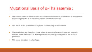 Mutational Basis of α-Thalassemia :
 The various forms of α-thalassemia are to be mostly the result of deletions of one or more
structural genes for α-Thalassemia present on chromosome 16.
 This result in less production of α globin chain causing α-Thalassemia .
 These deletions are thought to have arisen as a result of unequal crossover events in
meiosis, more likely to occur where genes with homologous sequences are in close
proximity.
 This cause alteration in cells shape.
 