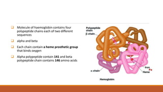  Molecule of haemoglobin contains four
polypeptide chains each of two different
sequences
 alpha and beta
 Each chain contain a heme prosthetic group
that binds oxygen
 Alpha polypeptide contain 141 and beta
polypeptide chain contains 146 amino acids
 