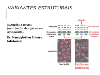 VARIANTES ESTRUTURAIS
Mutações pontuais
(substituição de apenas um
aminoácido).
Ex: Hemoglobina S (traço
falciforme)
 