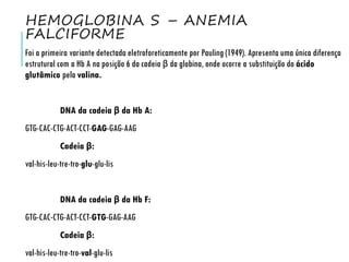 HEMOGLOBINA S – ANEMIA
FALCIFORME
Foi a primeira variante detectada eletroforeticamente por Pauling (1949). Apresenta uma única diferença
estrutural com a Hb A na posição 6 da cadeia β da globina, onde ocorre a substituição do ácido
glutâmico pela valina.
DNA da cadeia β da Hb A:
GTG-CAC-CTG-ACT-CCT-GAG-GAG-AAG
Cadeia β:
val-his-leu-tre-tro-glu-glu-lis
DNA da cadeia β da Hb F:
GTG-CAC-CTG-ACT-CCT-GTG-GAG-AAG
Cadeia β:
val-his-leu-tre-tro-val-glu-lis
 