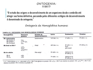 ONTOGENIA:
O QUE É?
“O estudo das origens e desenvolvimento de um organismo desde o embrião até
atingir sua forma definitiva, passando pelos diferentes estágios de desenvolvimento
é denominado de ontogenia.”
Ontogenia da Hemoglobina humana:
 