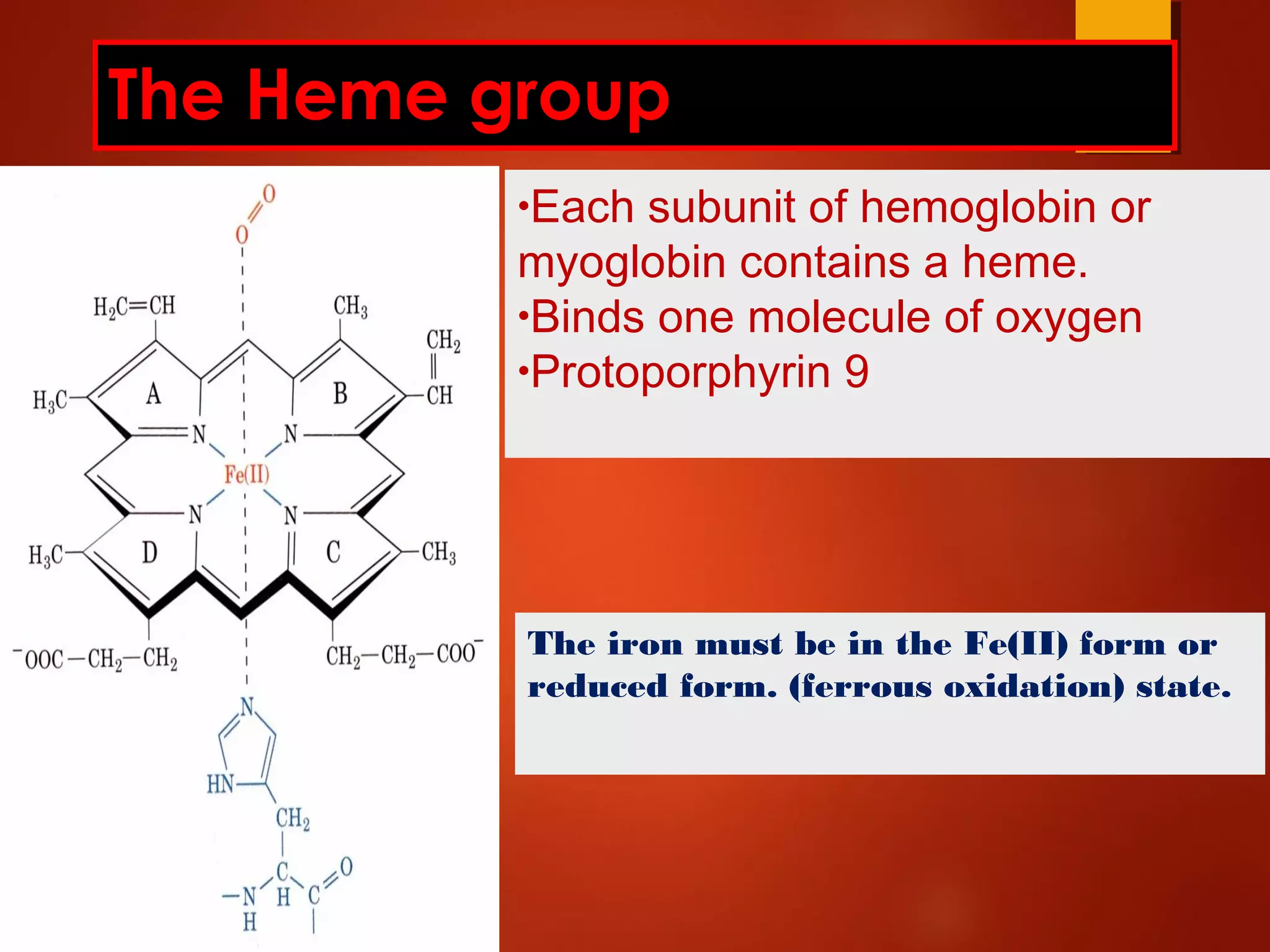 The Heme group
•Each subunit of hemoglobin or
myoglobin contains a heme.
•Binds one molecule of oxygen
•Protoporphyrin 9
The iron must be in the Fe(II) form or
reduced form. (ferrous oxidation) state.
 