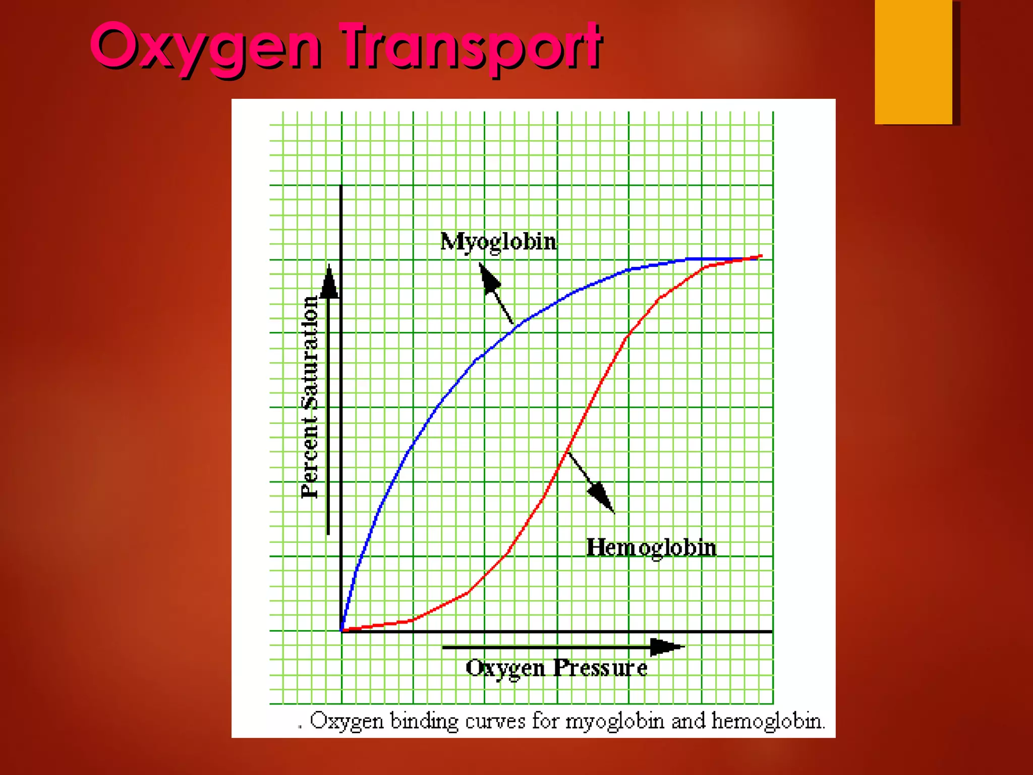 Oxygen TransportOxygen Transport
 