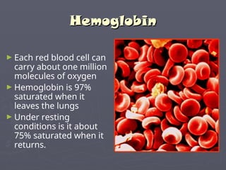 How Many Hemoglobin In Rbc Hemoglobin structuredddddddddddddddd.ppt