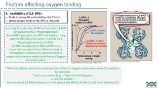 Factors affecting oxygen binding
4. Availability of 2,3- BPG :
– Binds to deoxy-Hb and stabilizes the T-form.
– When oxyge...