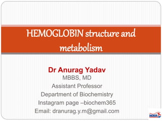 HEMOGLOBIN structure and
metabolism
Dr Anurag Yadav
MBBS, MD
Assistant Professor
Department of Biochemistry
Instagram page –biochem365
Email: dranurag.y.m@gmail.com
 