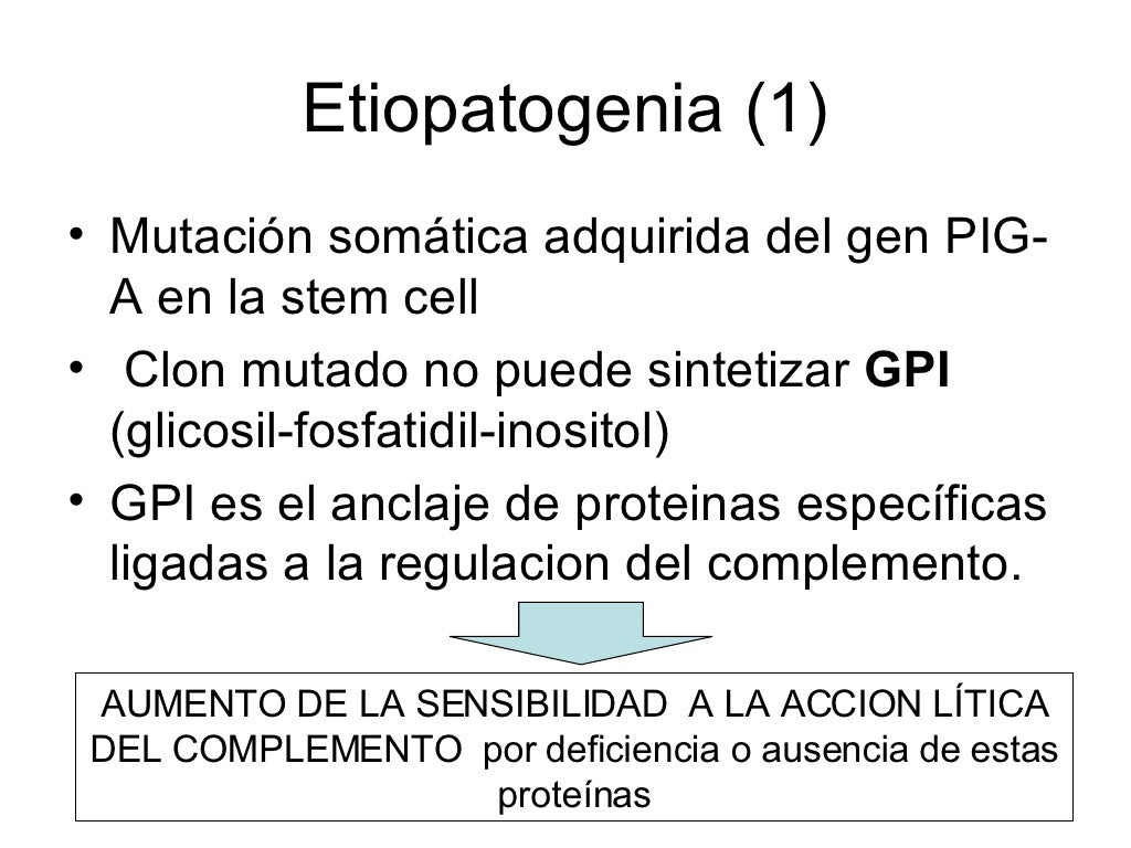Hemoglobinuria Paroxistica Nocturna
