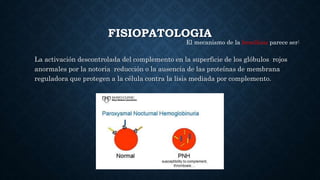 FISIOPATOLOGIA
La activación descontrolada del complemento en la superficie de los glóbulos rojos
anormales por la notoria reducción o la ausencia de las proteínas de membrana
reguladora que protegen a la célula contra la lisis mediada por complemento.
El mecanismo de la hemólisis parece ser:
 