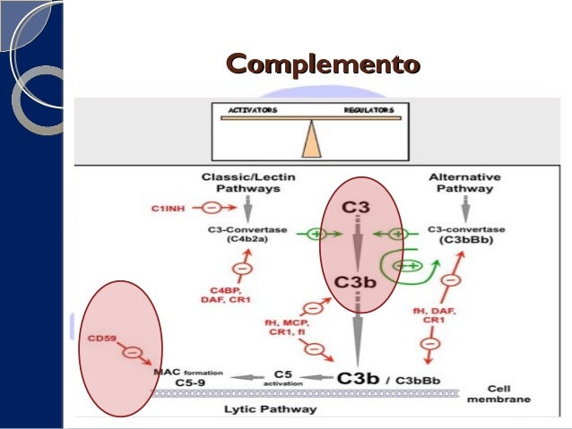Hemoglobinuria paroxistica nocturna