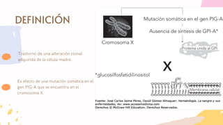 Trastorno de una alteración clonal
adquirida de la célula madre.
Es efecto de una mutación somática en el
gen PIG-A que se encuentra en el
cromosoma X.
DEFINICIÓN
 