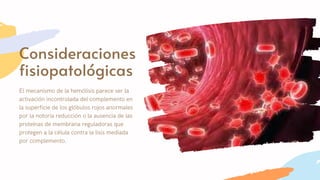 Consideraciones
fisiopatológicas
El mecanismo de la hemólisis parece ser la
activación incontrolada del complemento en
la superficie de los glóbulos rojos anormales
por la notoria reducción o la ausencia de las
proteínas de membrana reguladoras que
protegen a la célula contra la lisis mediada
por complemento.
 