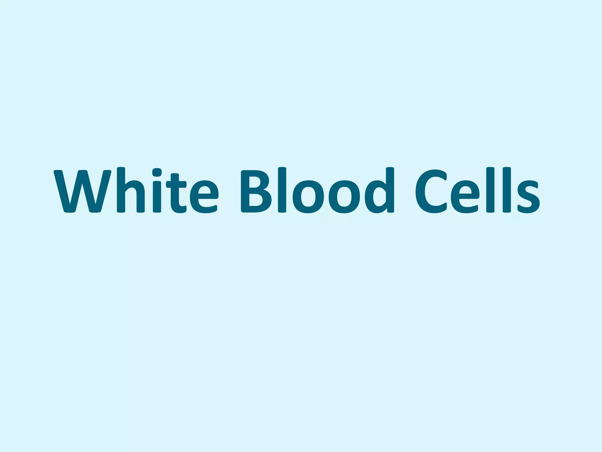 White Blood Cells
 