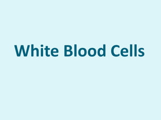 White Blood Cells
 