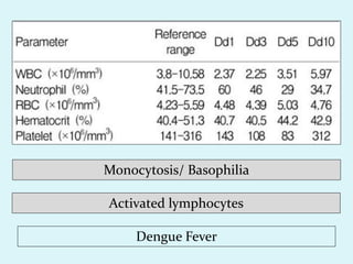 Dengue Fever
Monocytosis/ Basophilia
Activated lymphocytes
 