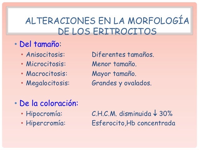 ANISOCITOSIS DEFINICION PDF