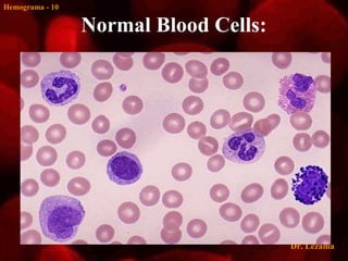 Hemograma - 10

                 Normal Blood Cells:




                                       Dr. Lezama
 