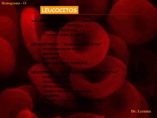 Hemograma - 11

                          LEUCOCITOS
                    VALORES DE REFERENCIA NORMALES
                        - Adulto: 5.000 – 10.000/µL
                        - R/N: hasta 30.000/µL
                        - 1ª semana: hasta 10.000/µl

                    LEUCOCITOSIS : ↑ leucocitos > 10,000/mm3
                        - infecciones bacterianas
                        - apendicitis
                        - leucemias
                        - embarazo (forma fisiológica)

                    LEUCOPENIA: ↓ de los leucocitos < 5000 (4,000)/mm3
                        - farmacológicas
                        - infecciones víricas
                        - aplasia idiopática
                        - inmune y asociada a colagenosis
                        - congénitas
                        - radiación y tratamientos quimioterápicos


                                                                          Dr. Lezama
 