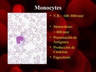 Monocytes
     • V.R.: 100–800/mm3

     • Monocitosis:
       > 800/mm3
     • Presentación de
       Antígenos
     • Producción de
       Citokinas
     • Fagocitosis
 