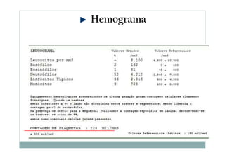 Hemograma

 