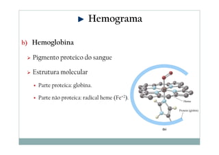 Hemograma
b) Hemoglobina

Pigmento proteico do sangue
Estrutura molecular
Parte proteica: globina.
Parte não proteica: radical heme (Fe+2).

 