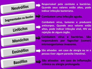 Responsável pelo combate a bactérias.
Quando seus valores estão altos, pode
indicar infecção bacteriana.
Combatem uma infecção aguda.
Combatem vírus, tumores e produzem
anticorpos. Quando seus valores estão
altos, pode indicar infecção viral, HIV ou
rejeição de algum órgão.
Combatem vírus e bactérias. São
responsáveis por fagocitar (comer)
microorganismos invasores.
São ativados em caso de alergia ou se a
pessoa tiver algum parasita intestinal.
São ativados em caso de inflamação
crônica ou alergia prolongada.
 