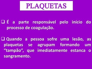  É a parte responsável pelo início do
processo de coagulação.
 Quando a pessoa sofre uma lesão, as
plaquetas se agrupam formando um
“tampão”, que imediatamente estanca o
sangramento.
 