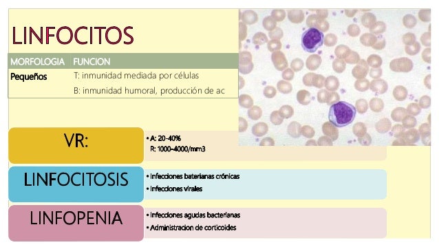 Hemograma