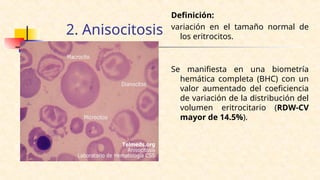 Bhc Normal Hemograma conceptos básicos para epezar.ppt