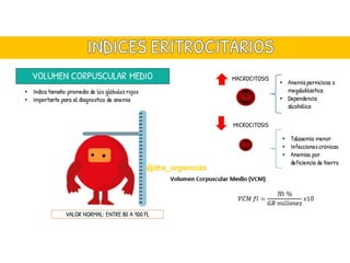 Comprehensive Guide to Interpreting Hemogram Results in Clinical ...