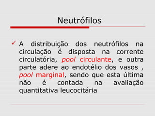 Neutrófilos
 A distribuição dos neutrófilos na
circulação é disposta na corrente
circulatória, pool circulante, e outra
parte adere ao endotélio dos vasos ,
pool marginal, sendo que esta última
não é contada na avaliação
quantitativa leucocitária
 