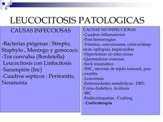 LEUCOCITOSIS PATOLOGICAS
CAUSAS INFECCIOSAS
-Bacterias piógenas : Strepto,
Staphylo , Meningo y gonococo.
-Tos convulsa (Bordetella)
Leucocitosis con Linfocitosis
-Sarampión (Inc)
-Cuadros septicos : Peritonitis,
Neumonía
CAUSAS NO INFECCIOSAS
-Cuadros inflamatorios
-Post hemorragias
-Vómitos, convulsiones, crisis eclámp-
sicas, epilepsia, taquicardias
-Hipertemias no infecciosas
-Quemaduras extensas
-Sock traumático
-IMC, necrosis de tejido tumoral, pan-
creatitis.
-Leucemias
-Enfermedades metabólicas : DBT,
Coma diabético, Acidosis
-IRC
-Endócrinopatias : Cushing
- Corticoterapia
 