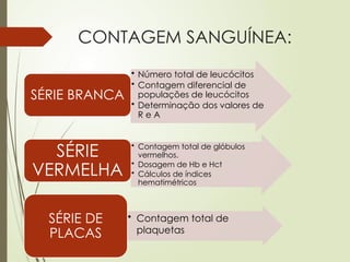 Hemograma serie Branca globulos brancos | PPTX