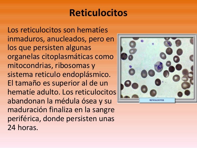 Hemograma uap