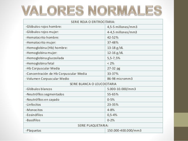 Hemograma y quimica sanguinea Hemograma y quimica sanguinea